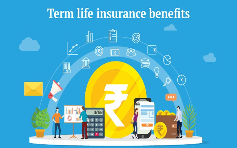 Term Life Insurance